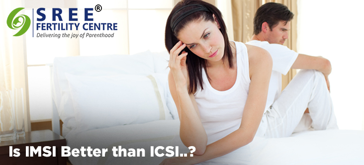 IMSI/ICSI